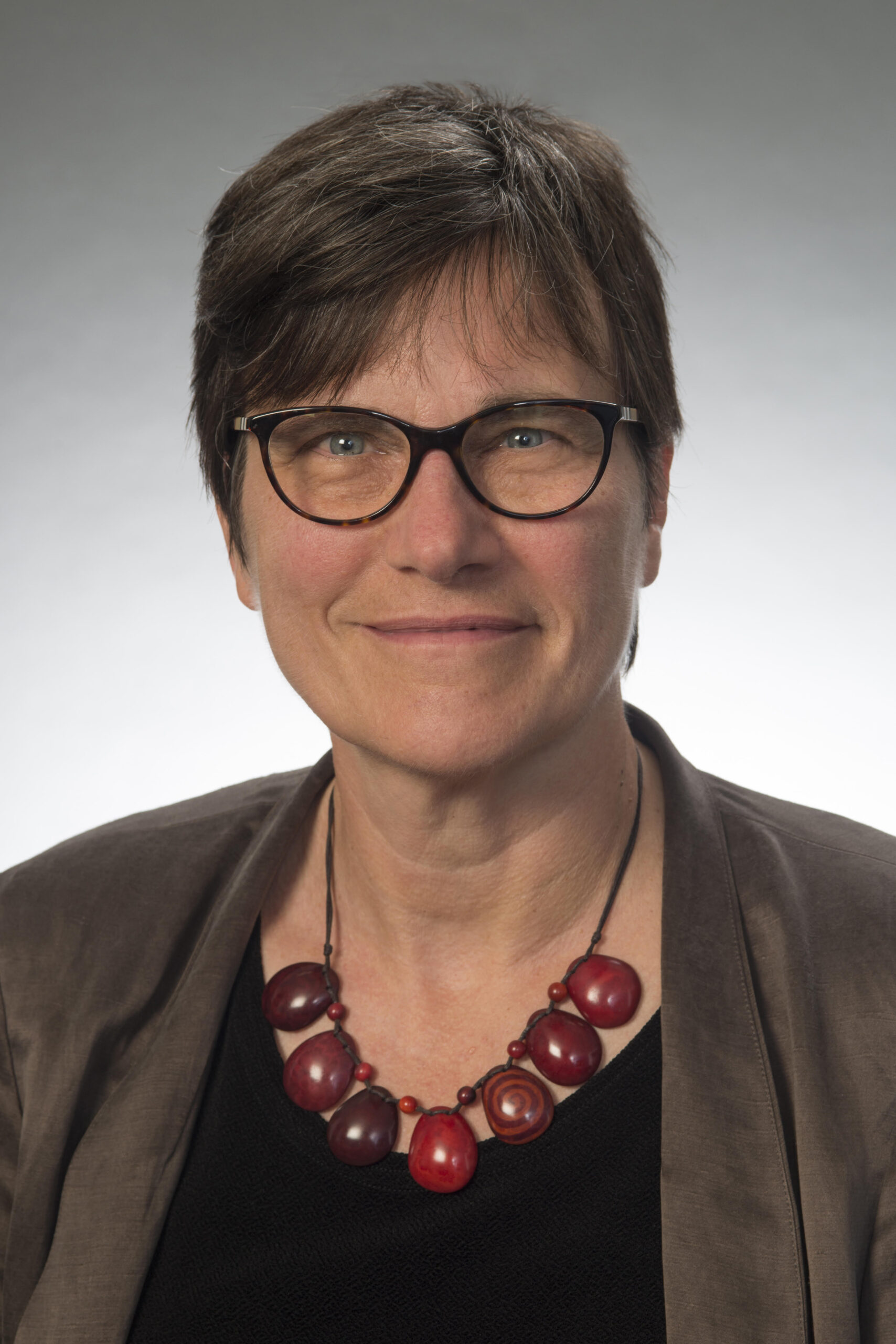 Paula M. Krebs is the executive director of the Modern Language Association.