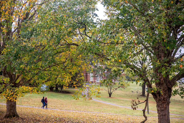 Sweet Briar College will the first higher ed institution in Virginia to open for the 2020-21 school year when in-person classes resume on Aug. 11.