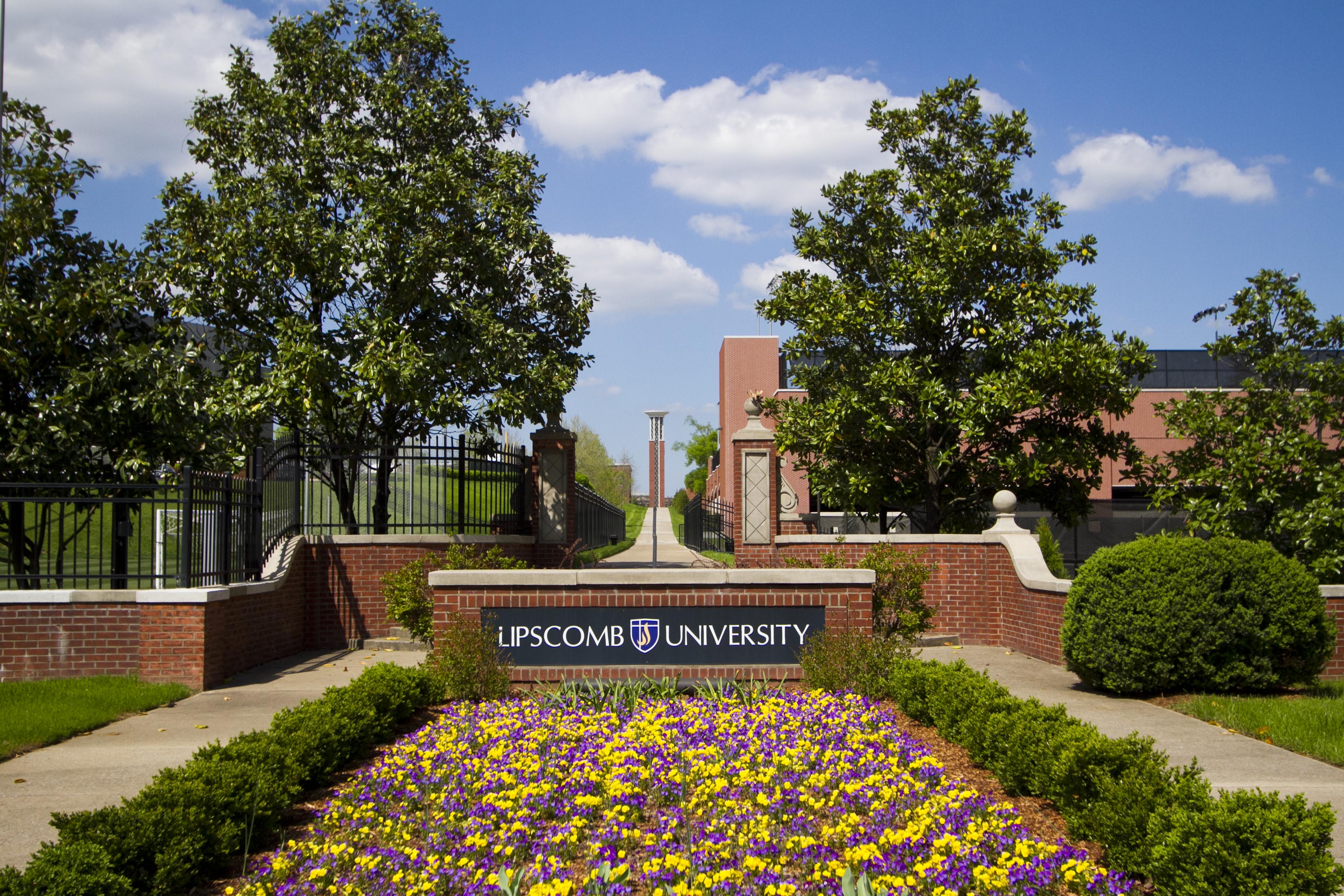 Freshmen entering Lipscomb University this fall could take a summer one-credit course to help in building resilience.