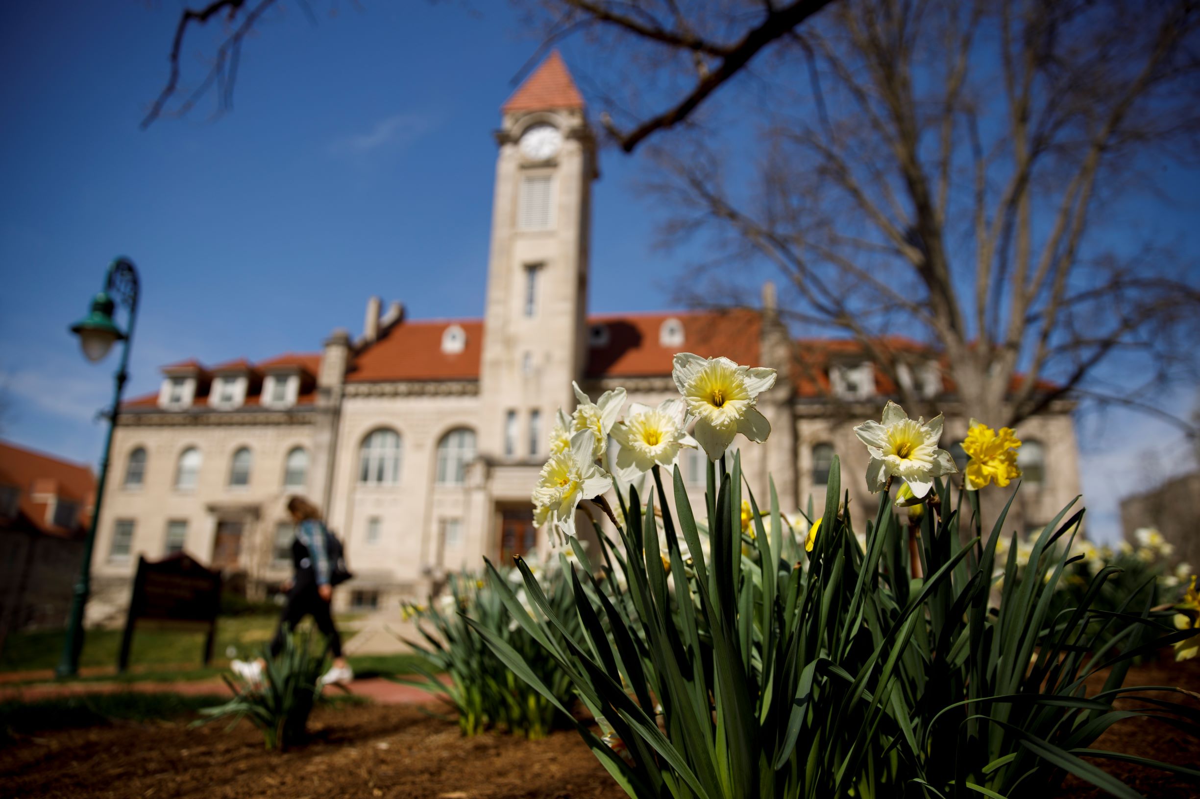 IU enrollment slightly up from last year, growth in Bloomington